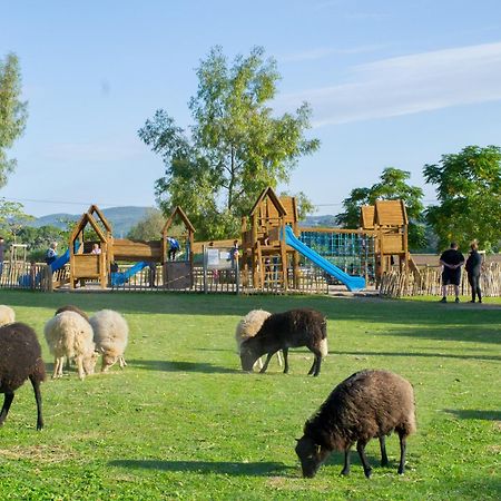 Maison Avec Piscine Location De Vacances Ferme Pedagogique Du Dolmen Le Pouget Екстериор снимка