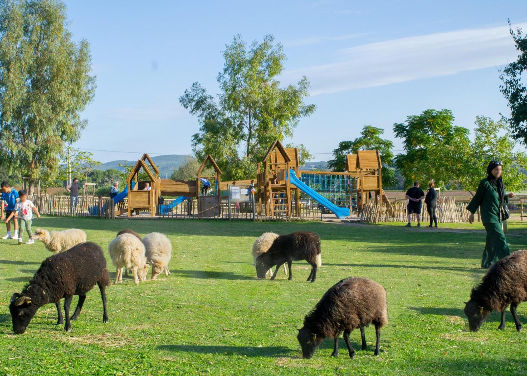 Maison Avec Piscine Location De Vacances Ferme Pedagogique Du Dolmen Le Pouget Екстериор снимка